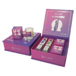 ELFBAR 600V2 - Christmas Box